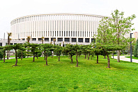 Парк «Краснодар» теперь украшают 54 дерева можжевельника 